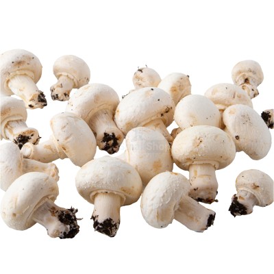 Шампиньоны свежие 500 г - купить в Турчаниновском